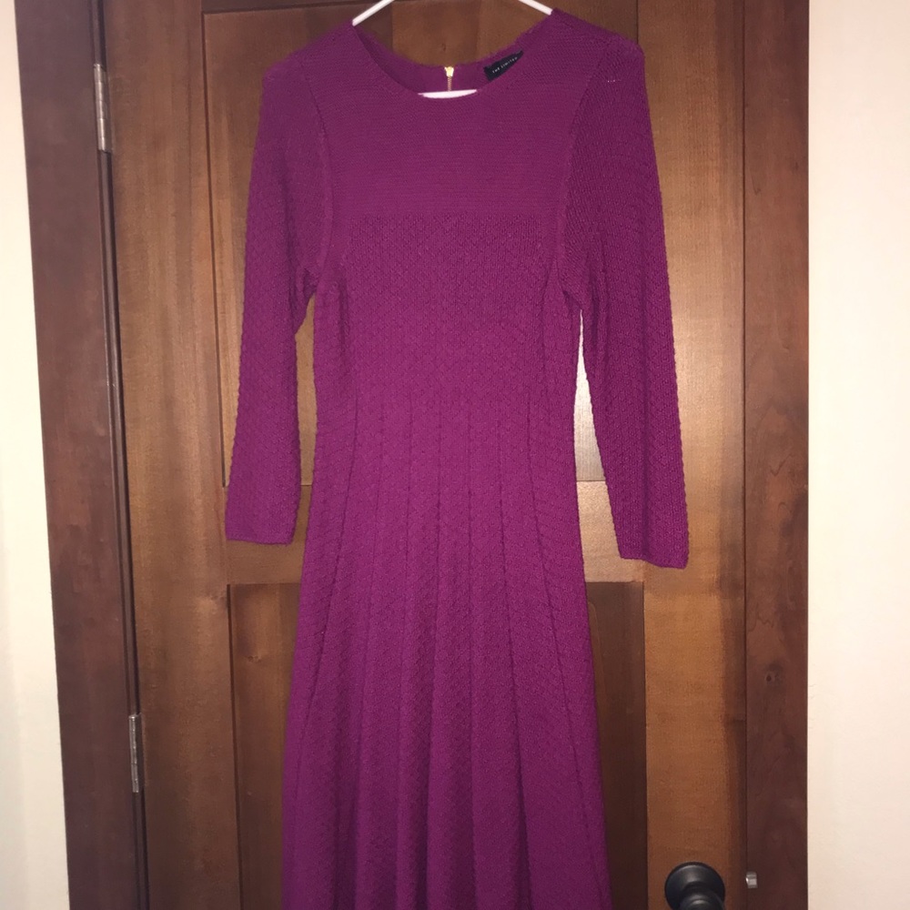 The Limited Cranberry/Burgundy Sweater Dress size small